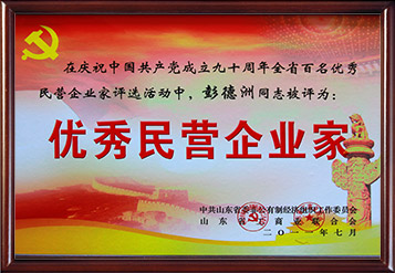 2011年山東省優(yōu)秀民營(yíng)企業(yè)家