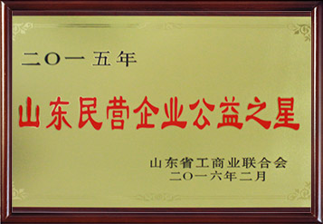 2015年山東民營(yíng)企業(yè)公益之星
