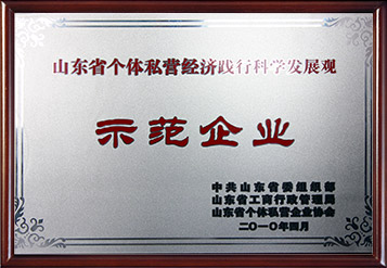2010年山東省個(gè)體私營(yíng)經(jīng)濟(jì)踐行科學(xué)發(fā)展觀示范企業(yè)