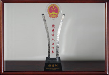 2019年煙臺(tái)市優(yōu)秀人大代表